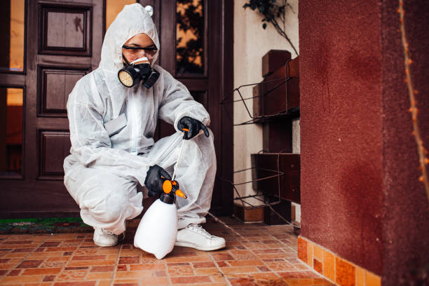 Reliable Termite Control contractor in Schertz, TX by Nex Pest Control